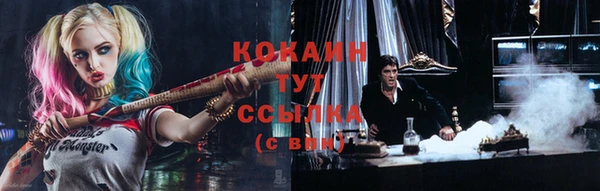 индика Абинск