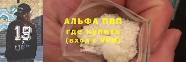 индика Абинск