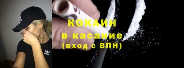 индика Абинск