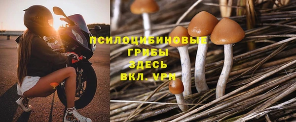 индика Абинск