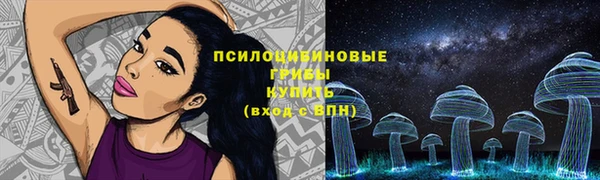 ешки Абаза