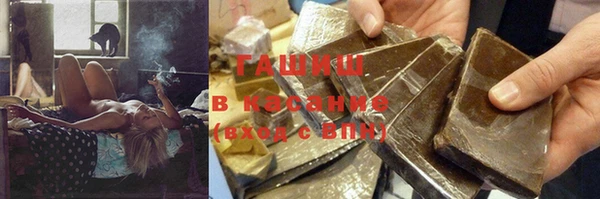 индика Абинск
