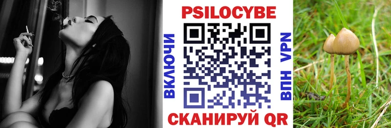 как найти закладки  Северская  Галлюциногенные грибы Cubensis 